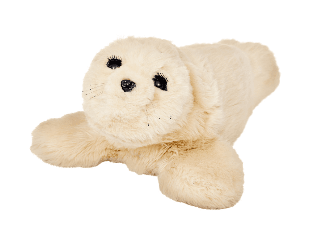 Meet Buddy: The AI Companion Robots Helping Seniors Stay Independent